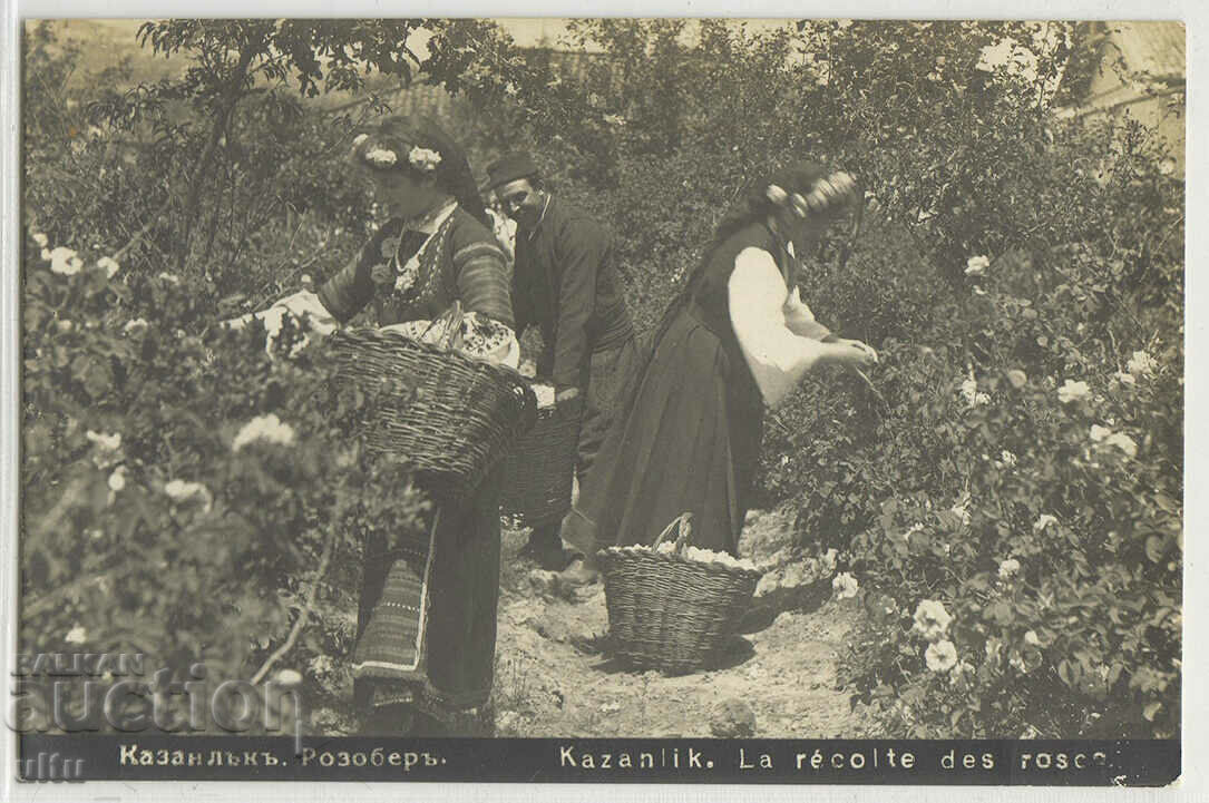 Bulgaria, Kazanlak, Rozober, 1929.