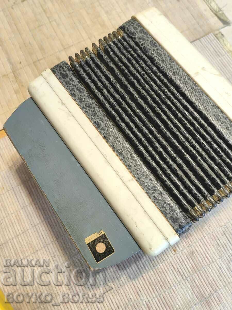 Livrarea Foarte rar Acordeonul pentru copii din Rusia Social URSS Vyatka Yubileynaya Livrarea Foarte rar Acordeonul pentru copii din Rusia Social URSS Vyatka Yubileynaya