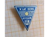Volleyball badge