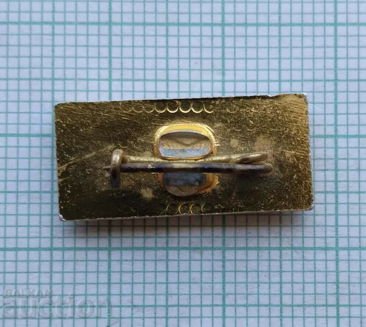 Auction 15592 Badge - 20 years ZSK 1980 Auction 15592 Badge - 20 years ZSK 1980