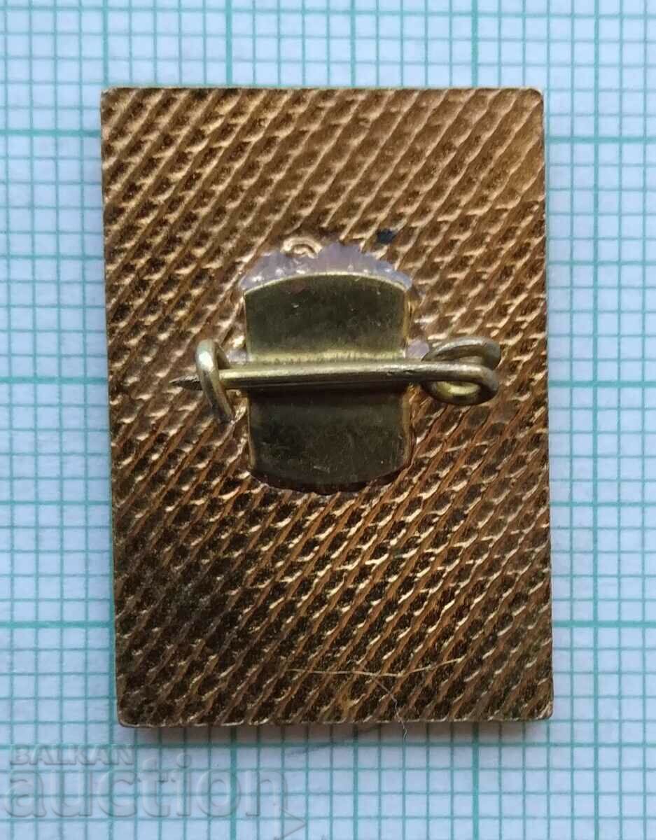 Livrarea 15601 Insigna - Ministerul Comunicatiilor - email bronz Livrarea 15601 Insigna - Ministerul Comunicatiilor - email bronz