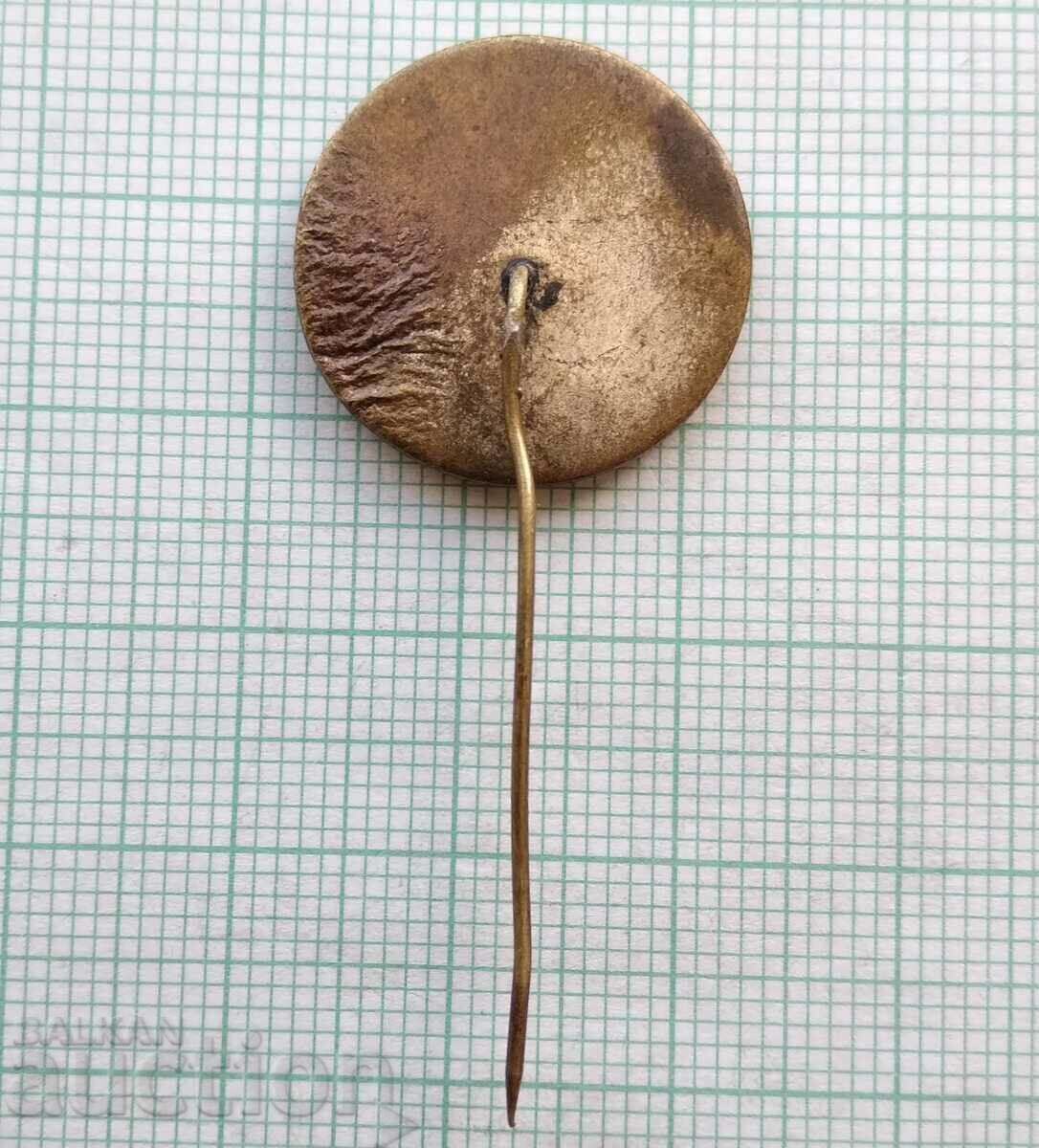 Delivery of 15614 Badge - 20 years SMK Leonid Brezhnev Delivery of 15614 Badge - 20 years SMK Leonid Brezhnev