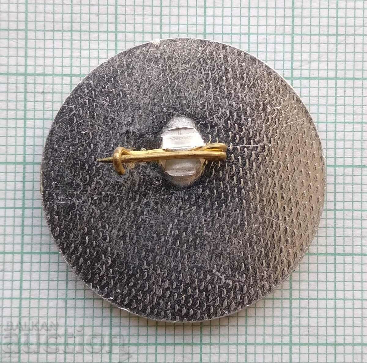 Auction 15617 Badge - 10 years Youth station 250 MK Kremikovtsi Auction 15617 Badge - 10 years Youth station 250 MK Kremikovtsi