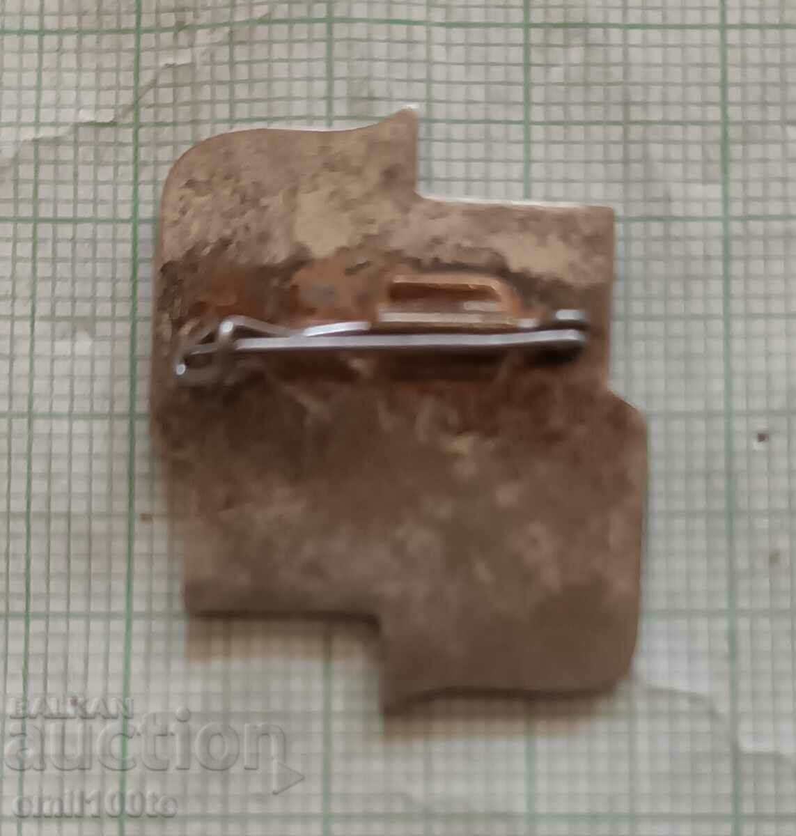 Delivery of Badge - DKMS VLKSM NRB 1973