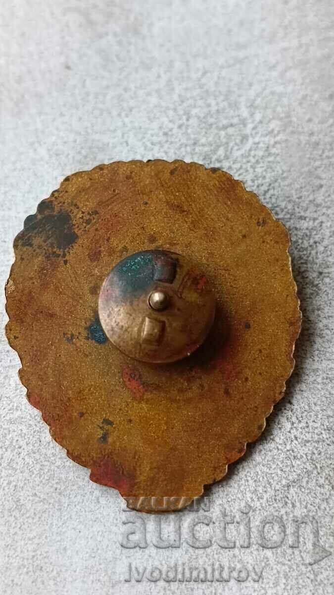 Award badge Excellent Railway troops with price 48.85 BGN | € 24.98 Award badge Excellent Railway troops with price 48.85 BGN | € 24.98