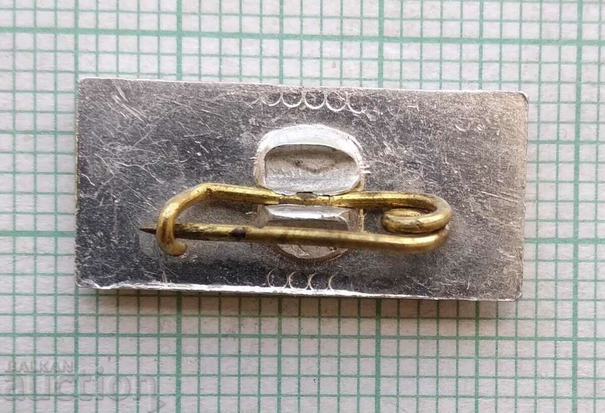 Auction 15628 Badge - 20 years ZSK 1980 Auction 15628 Badge - 20 years ZSK 1980