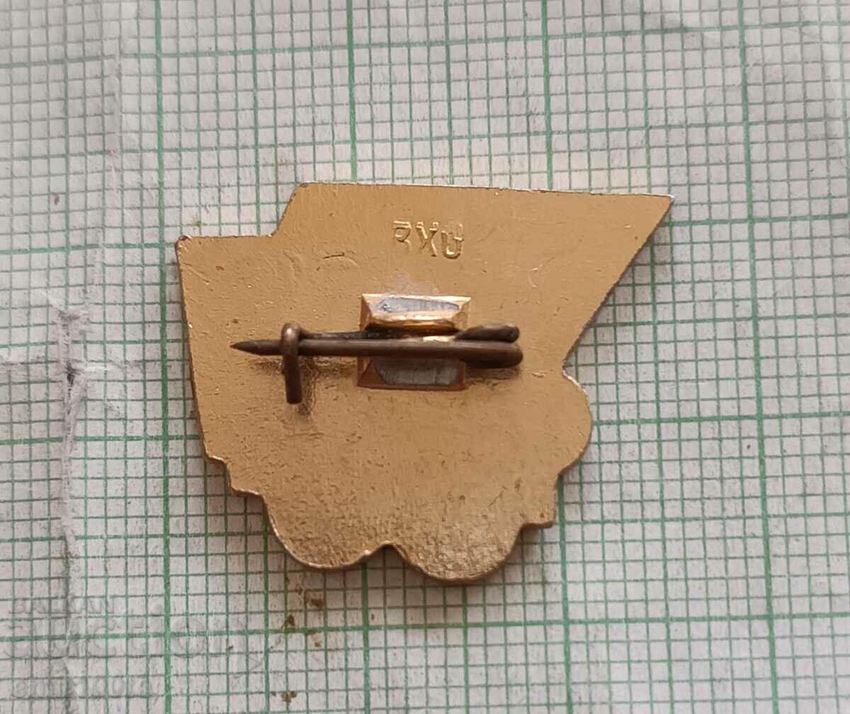 Delivery of Badge - Regional Competition Winner Olympic Rounds Delivery of Badge - Regional Competition Winner Olympic Rounds