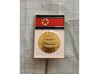 Badge - Volleyball Federation of North Korea