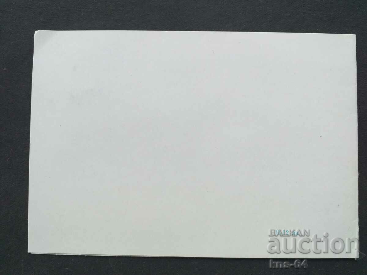 Auction Congratulatory Auction Congratulatory