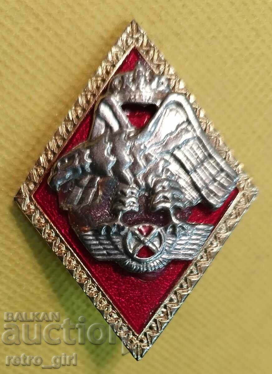 I am selling a military award badge, a badge!