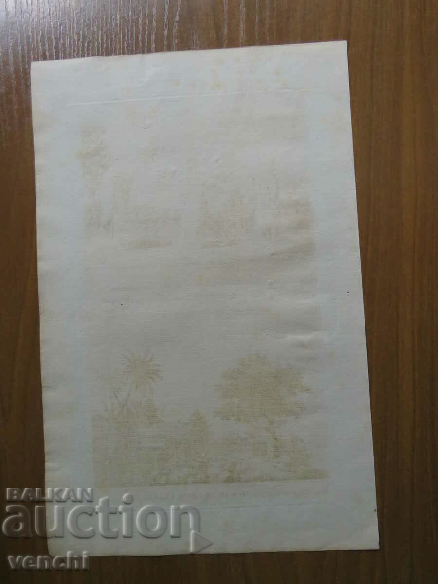 Livrarea 1767 - GRAVURĂ - MAURICE - TAHITI, POLINEZIA - ORIGINAL