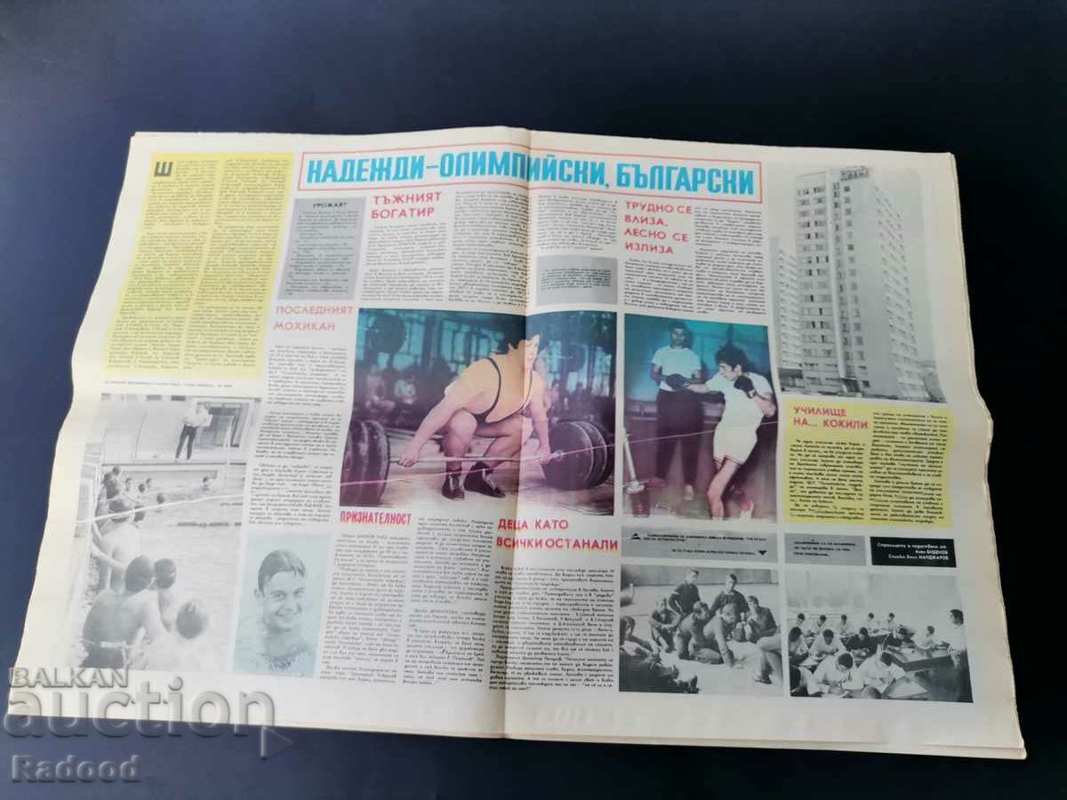 Δημοπρασία ΦΕΚ «Έναρξη» Αριθμός 175/1974.