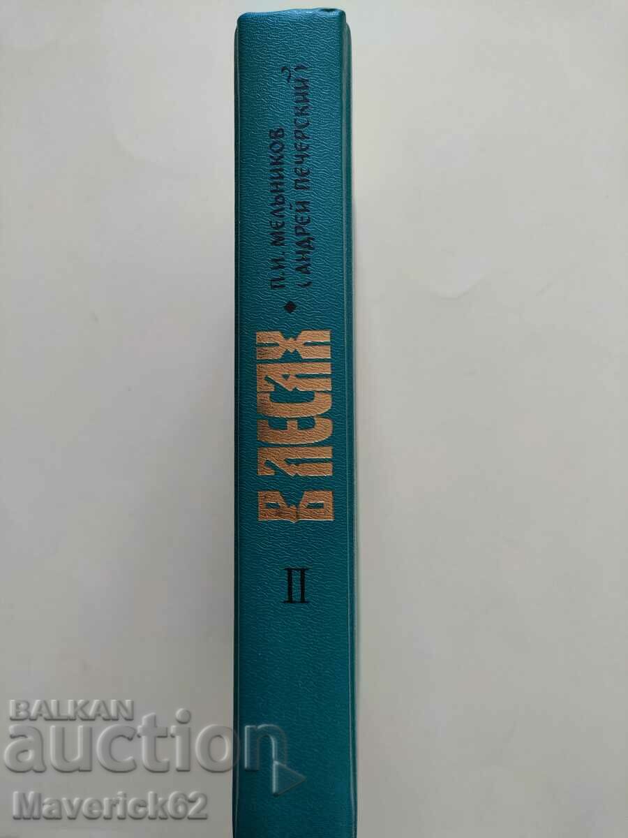 Book In Lesakh in Russian - 6 Book In Lesakh in Russian - 6