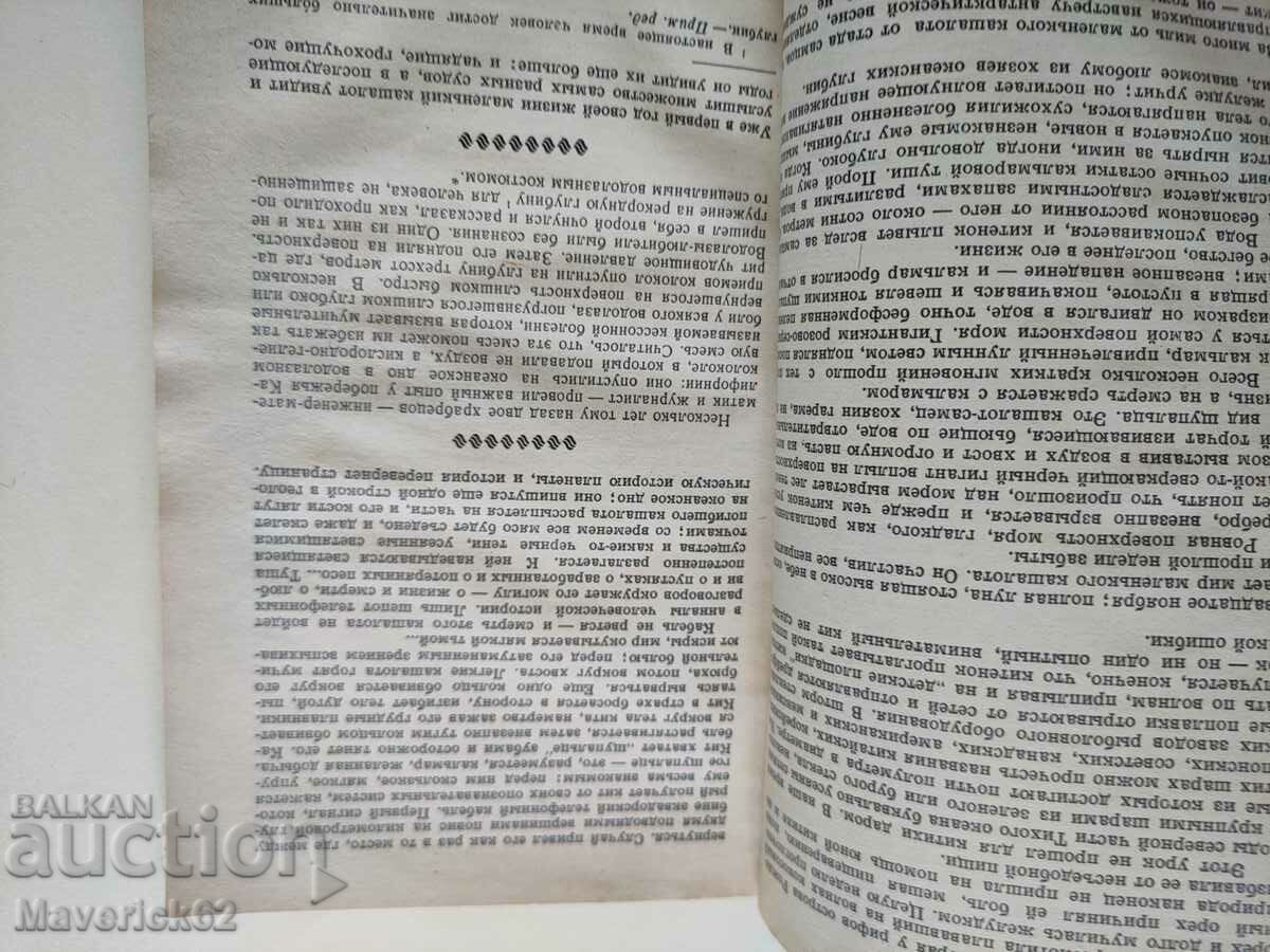 Auction Happy New Year in Russian Auction Happy New Year in Russian