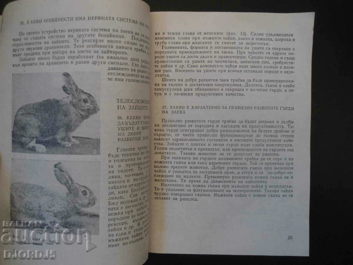 Delivery of Practical advice for rabbit breeders