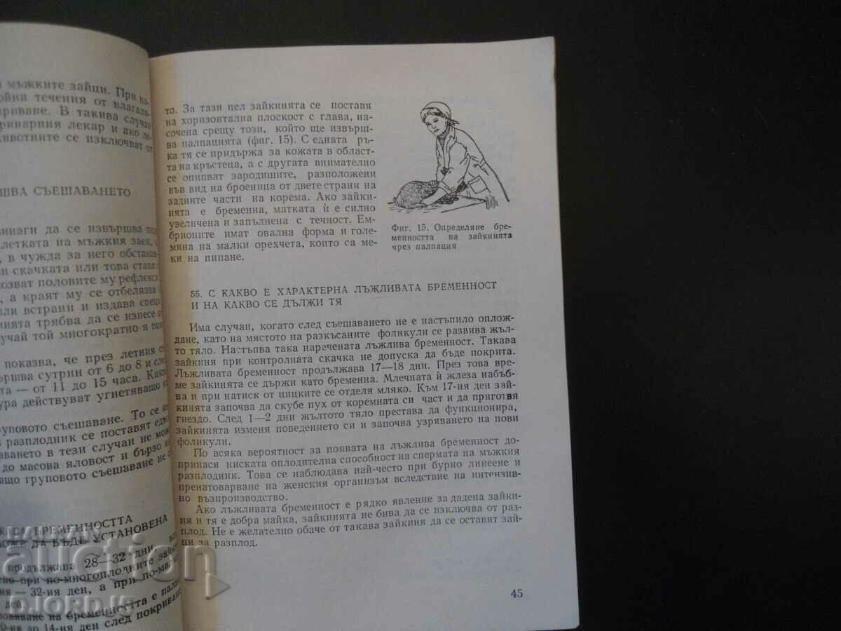 Practical advice for rabbit breeders - 5