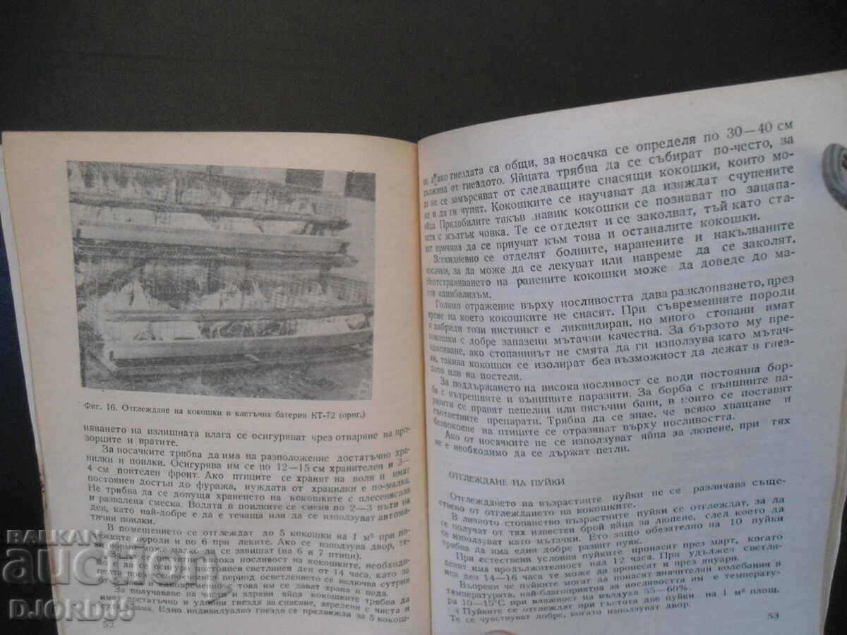 Delivery of Breeding of farm birds on the private farm Delivery of Breeding of farm birds on the private farm