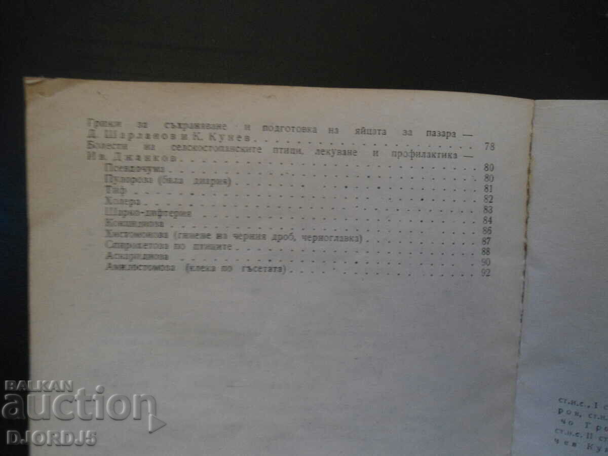 Breeding of farm birds on the private farm - 6 Breeding of farm birds on the private farm - 6