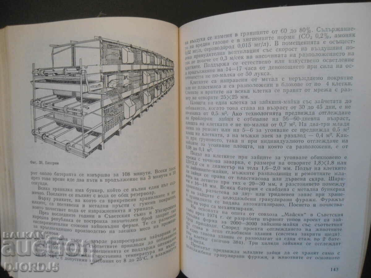 Доставка на Отглеждане на зайци Доставка на Отглеждане на зайци