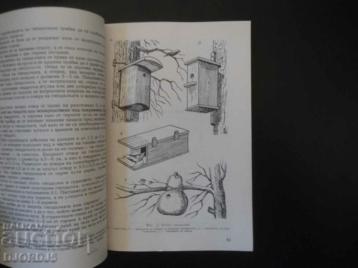 Auction Songbirds and decorative birds Auction Songbirds and decorative birds