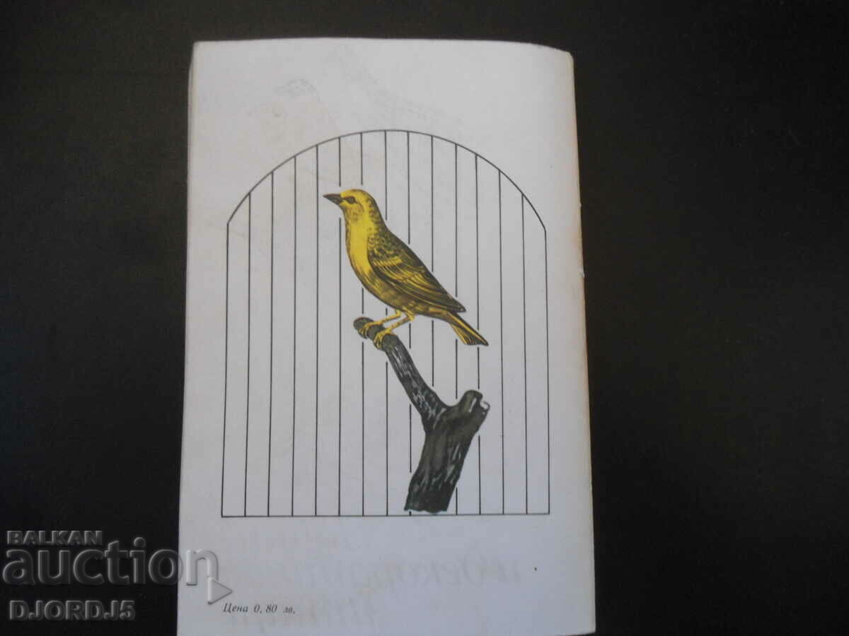 Songbirds and decorative birds - 6 Songbirds and decorative birds - 6