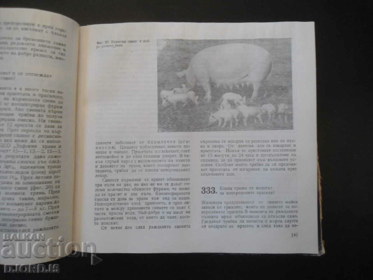 Auction 745 animal husbandry and health tips Auction 745 animal husbandry and health tips