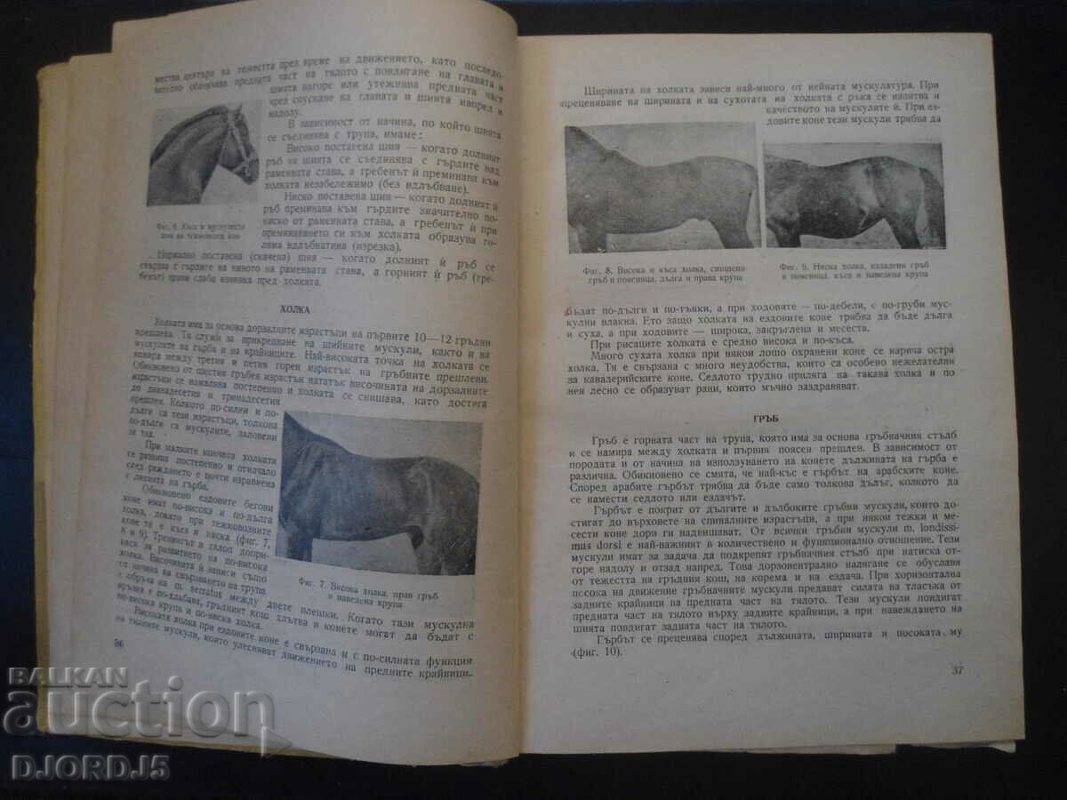 HORSE BREEDING, P. Hadjidimitrov with price 40.00 BGN | € 20.45 HORSE BREEDING, P. Hadjidimitrov with price 40.00 BGN | € 20.45