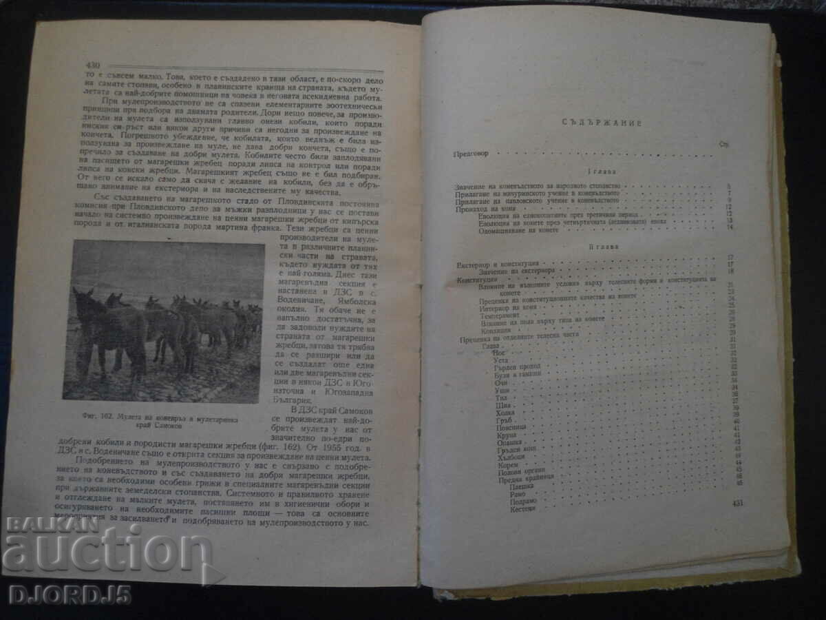 Auction HORSE BREEDING, P. Hadjidimitrov Auction HORSE BREEDING, P. Hadjidimitrov