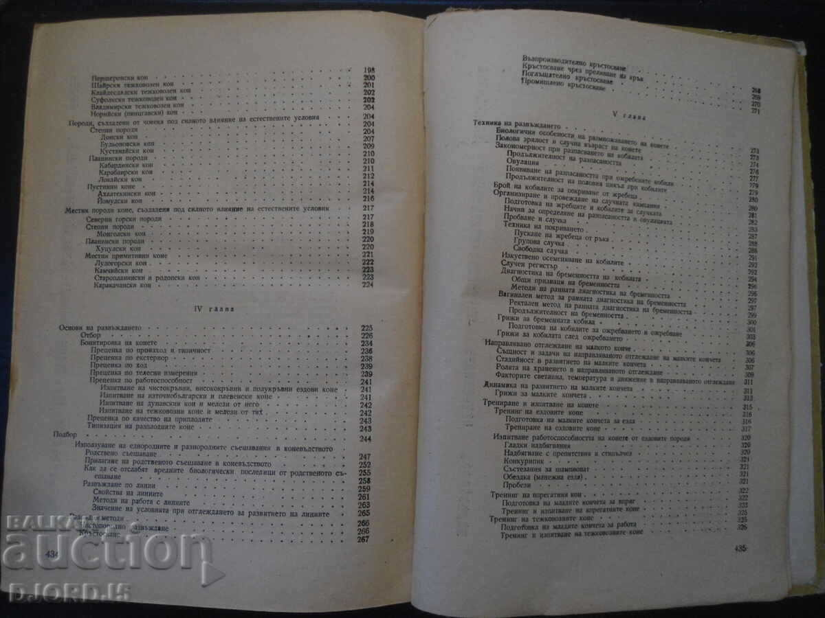 HORSE BREEDING, P. Hadjidimitrov - 5 HORSE BREEDING, P. Hadjidimitrov - 5