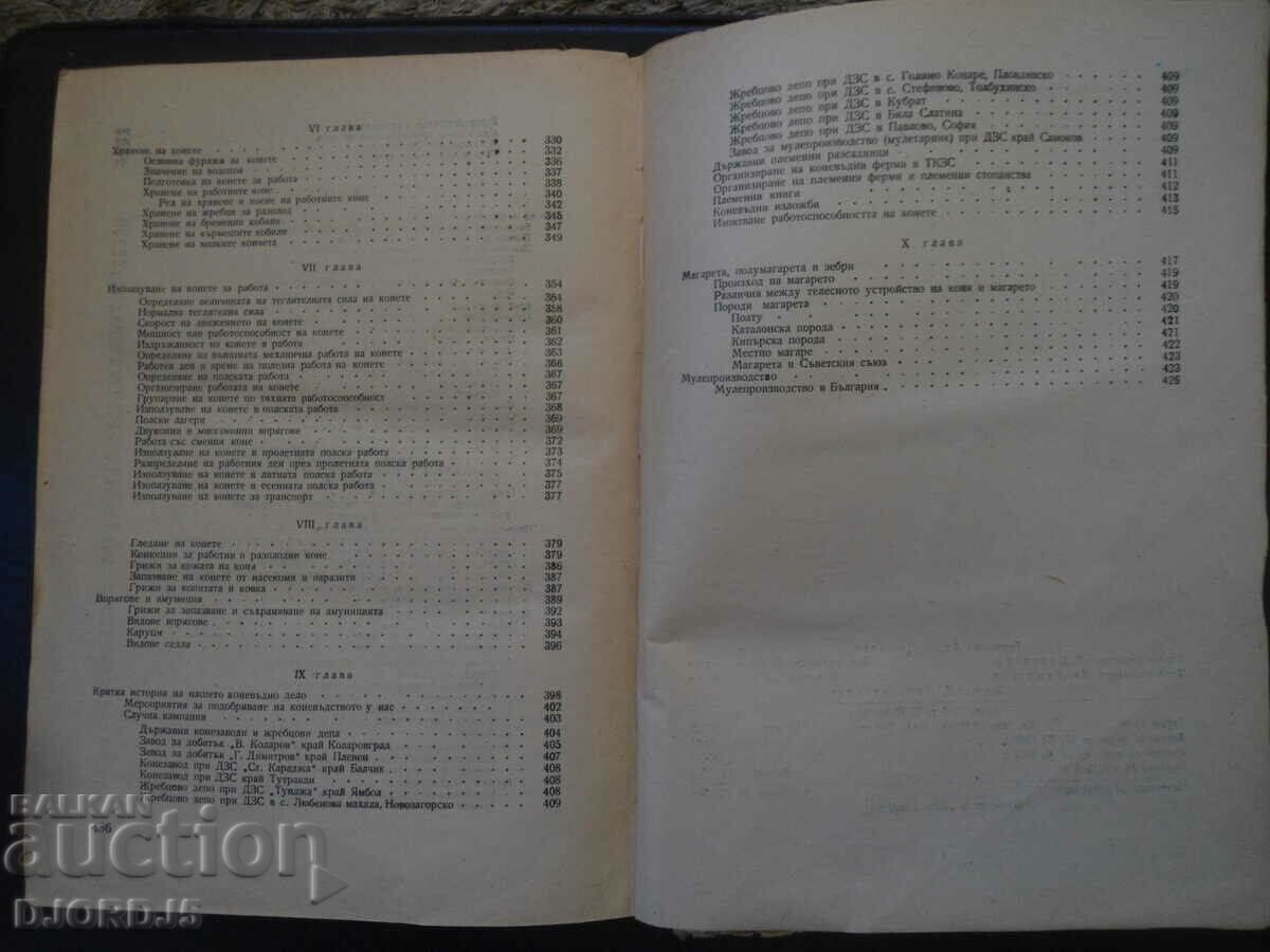 HORSE BREEDING, P. Hadjidimitrov - 6 HORSE BREEDING, P. Hadjidimitrov - 6