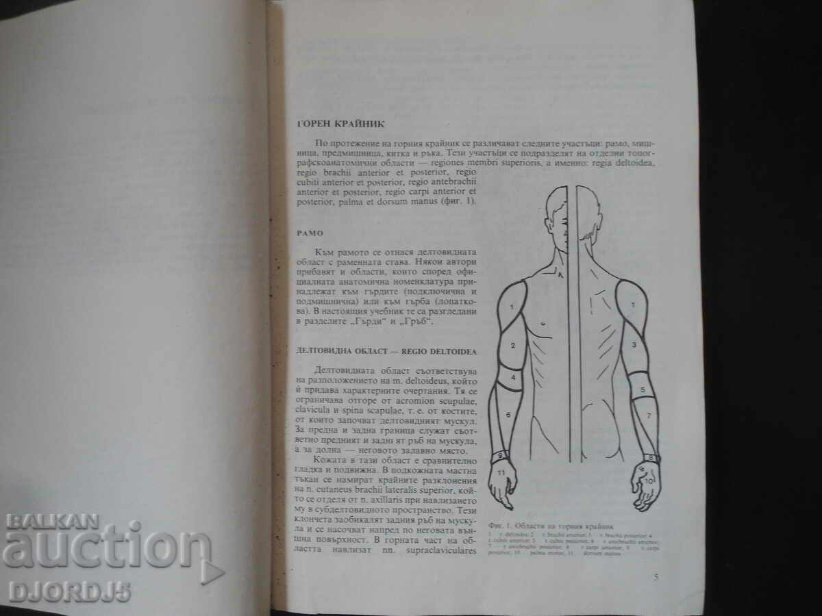 Auction Topographic Anatomy, Textbook for Medical Students Auction Topographic Anatomy, Textbook for Medical Students
