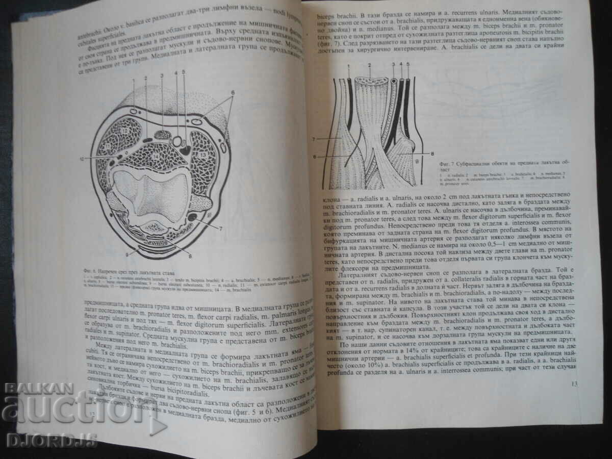 Delivery of Topographic Anatomy, Textbook for Medical Students Delivery of Topographic Anatomy, Textbook for Medical Students