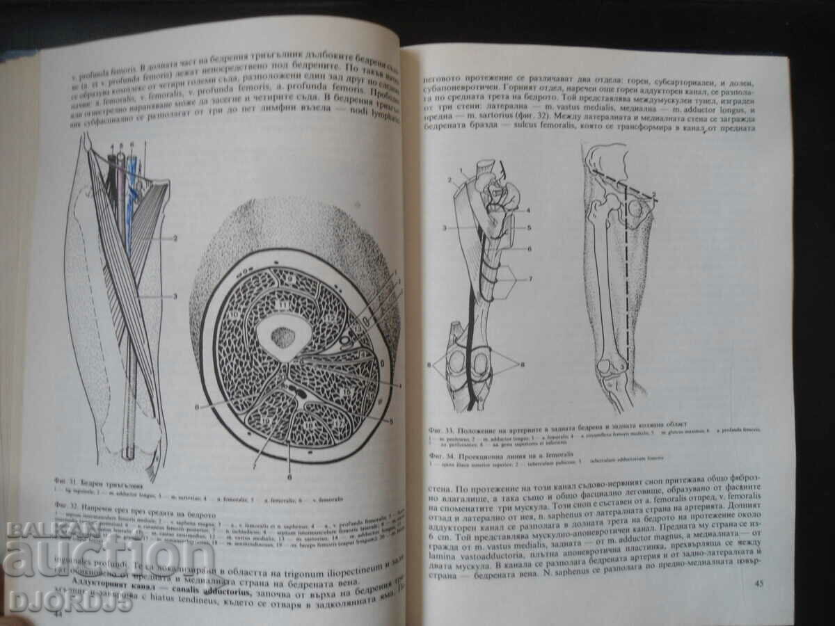 Topographic Anatomy, Textbook for Medical Students - 5 Topographic Anatomy, Textbook for Medical Students - 5