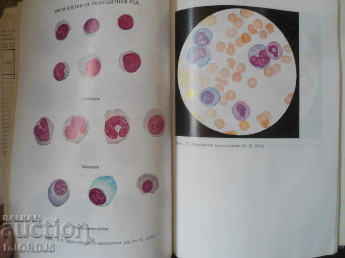 CLINICAL LABORATORY, Textbook for Medical Students - 7 CLINICAL LABORATORY, Textbook for Medical Students - 7