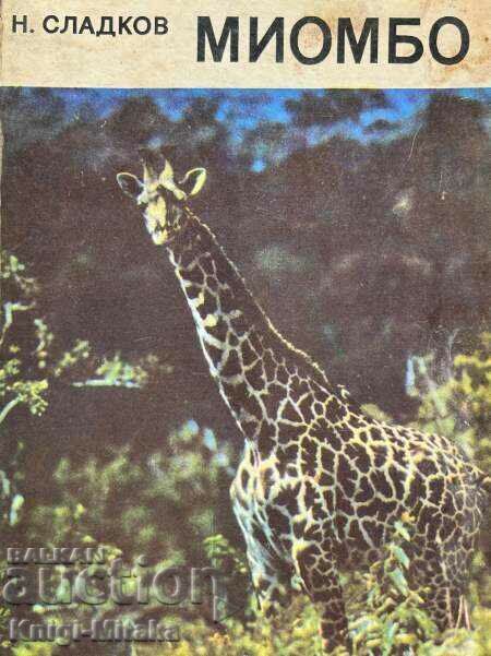 Miombo - N. Sladkov Miombo - N. Sladkov