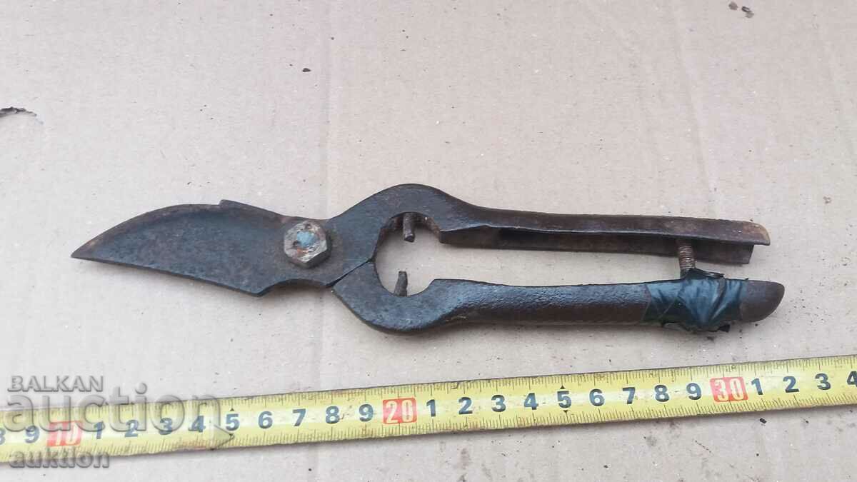 SOC. MASSIVE VINEYARD SCISSORS - 5 SOC. MASSIVE VINEYARD SCISSORS - 5