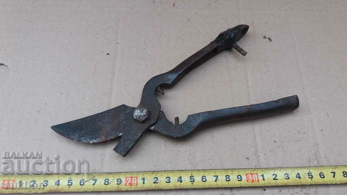 SOC. MASSIVE VINEYARD SCISSORS - 6 SOC. MASSIVE VINEYARD SCISSORS - 6