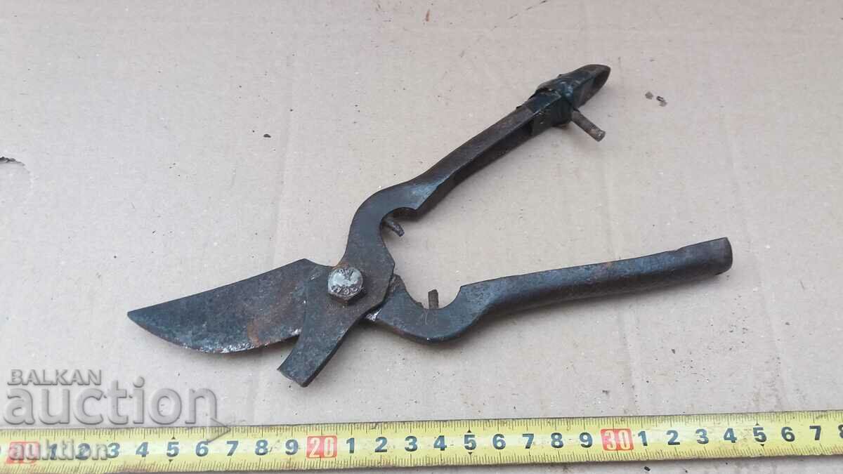 SOC. MASSIVE VINEYARD SCISSORS - 7 SOC. MASSIVE VINEYARD SCISSORS - 7