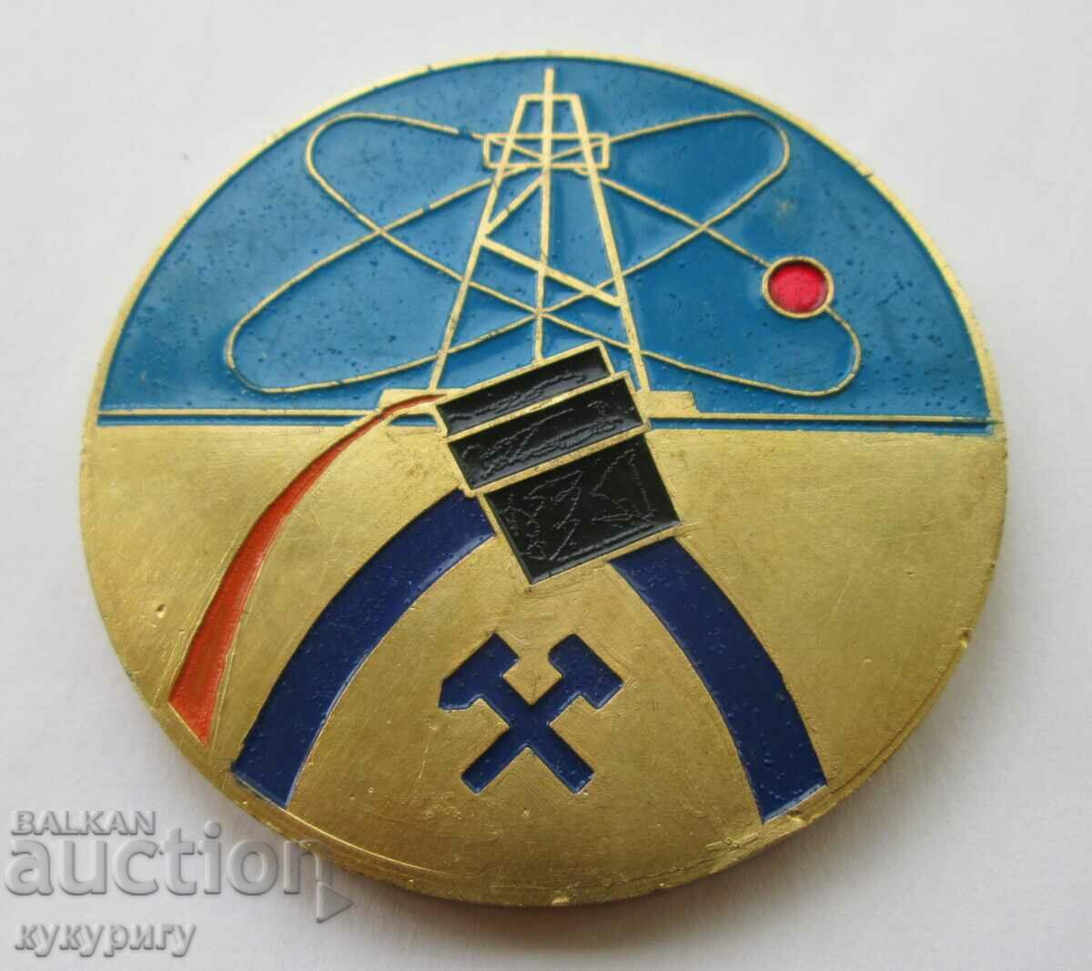 Placă cu medalie Star Social GLORIA MUNCII geologie minerit