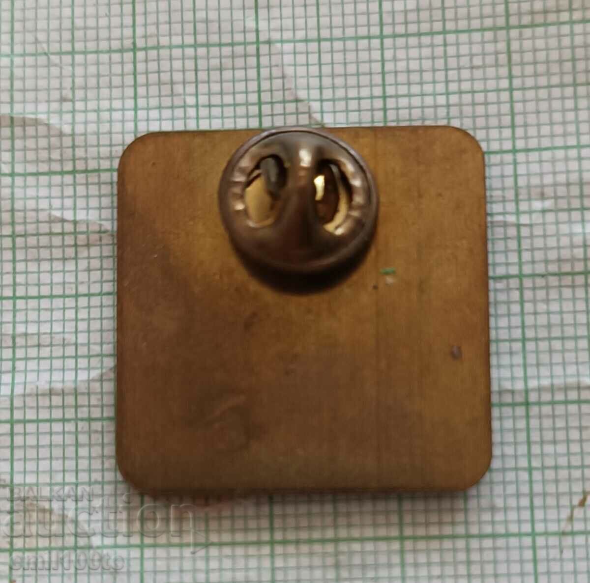 Badge - World Championship Wrestling Atlanta 1995 USA - 5 Badge - World Championship Wrestling Atlanta 1995 USA - 5