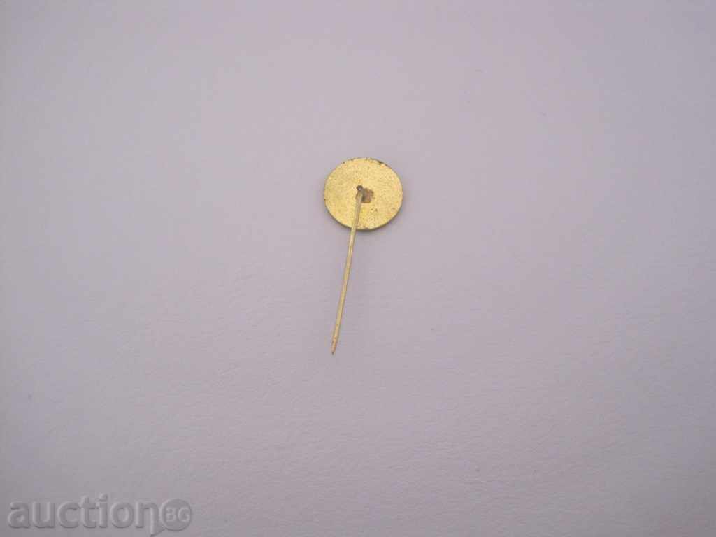 Delivery of Badge - Friendship Club-Evil Sands