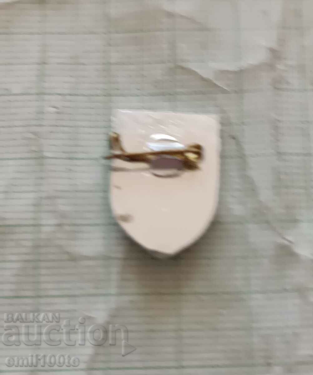 Σήμα - οικόσημο Haskovo - 5