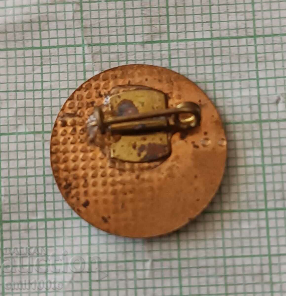 Badge - Battery Plant M. Shatorov Pazardzhik Balkankar - 5 Badge - Battery Plant M. Shatorov Pazardzhik Balkankar - 5