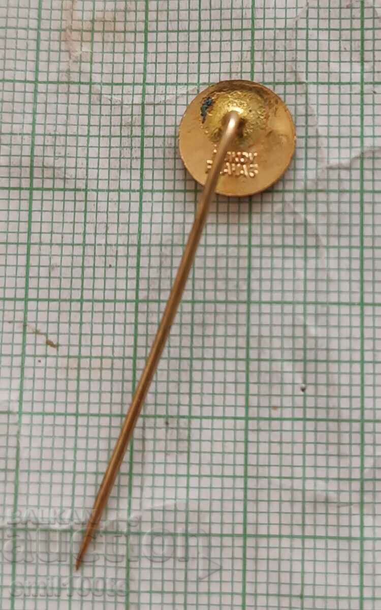 Παράδοση Σήμα - Αυτοκίνητο λογότυπο Skoda Παράδοση Σήμα - Αυτοκίνητο λογότυπο Skoda