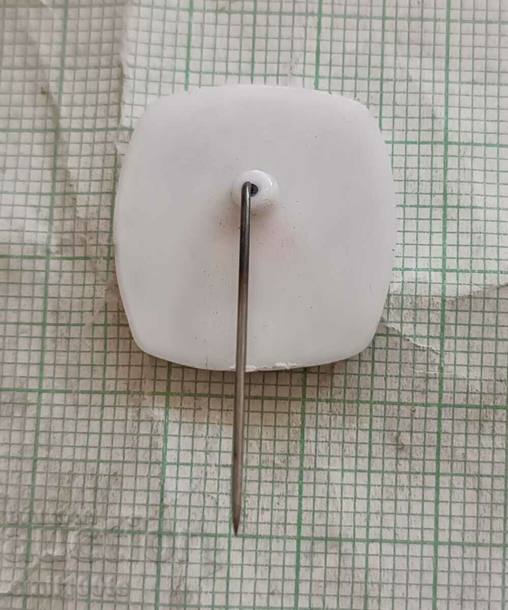 Delivery of Badge - Festival of Youth and Students Sofia 68 Delivery of Badge - Festival of Youth and Students Sofia 68