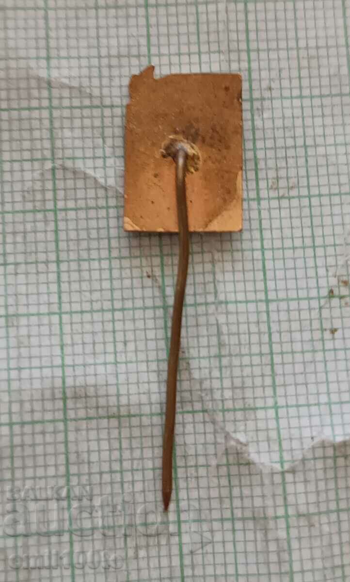 Badge - Culture and art - 5 Badge - Culture and art - 5