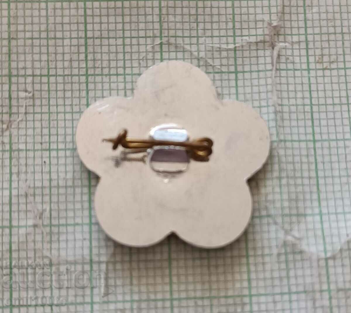 Delivery of Badge - Festival of Youth and Students