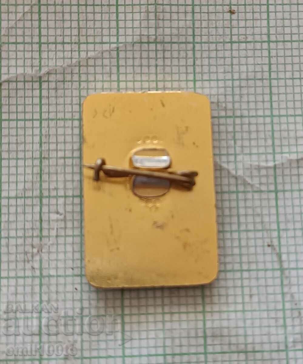 Delivery of Badge - Festival of Youth and Students Delivery of Badge - Festival of Youth and Students