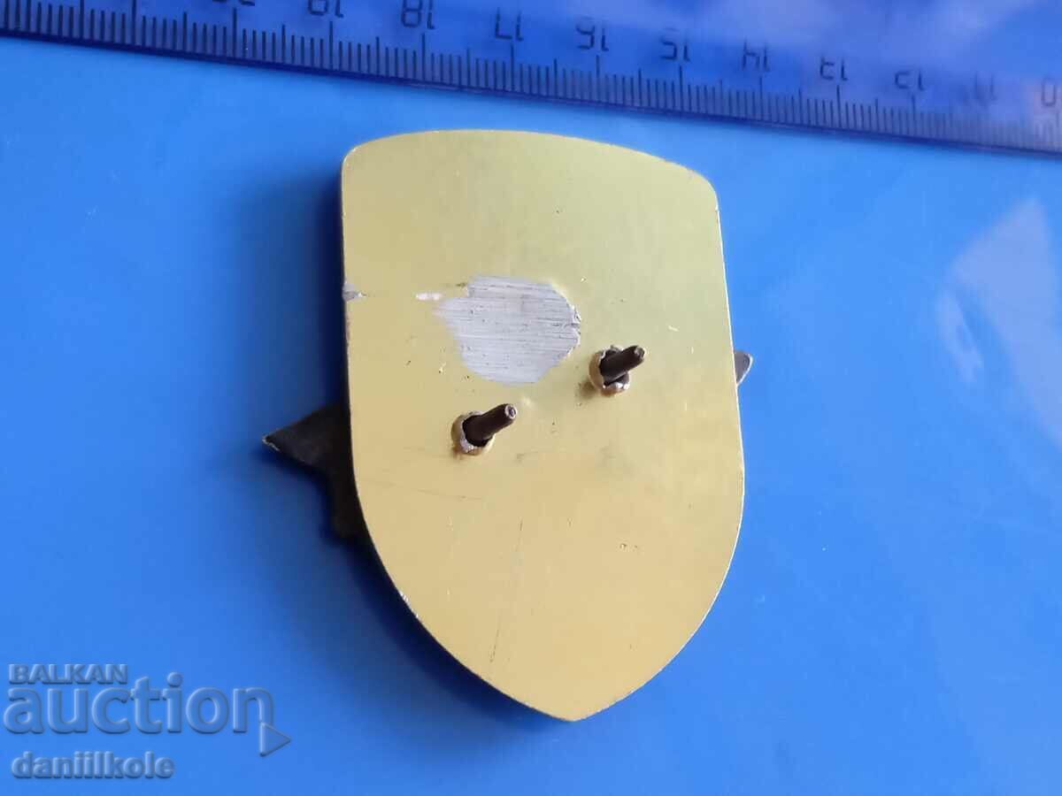 *$*Y*$* INSIGNIA OF THE 2ND AIR FORCE AND AIR FORCE DIVISION OF BNA - RRR *$*Y*$* - 6