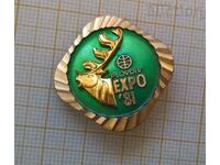 EXPO 81 badge